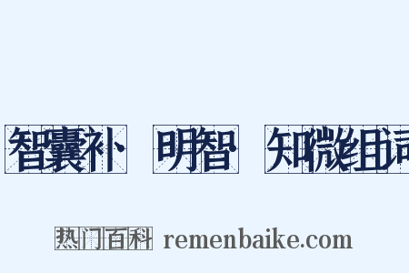 智囊补·明智·知微组词是什么意思的图片